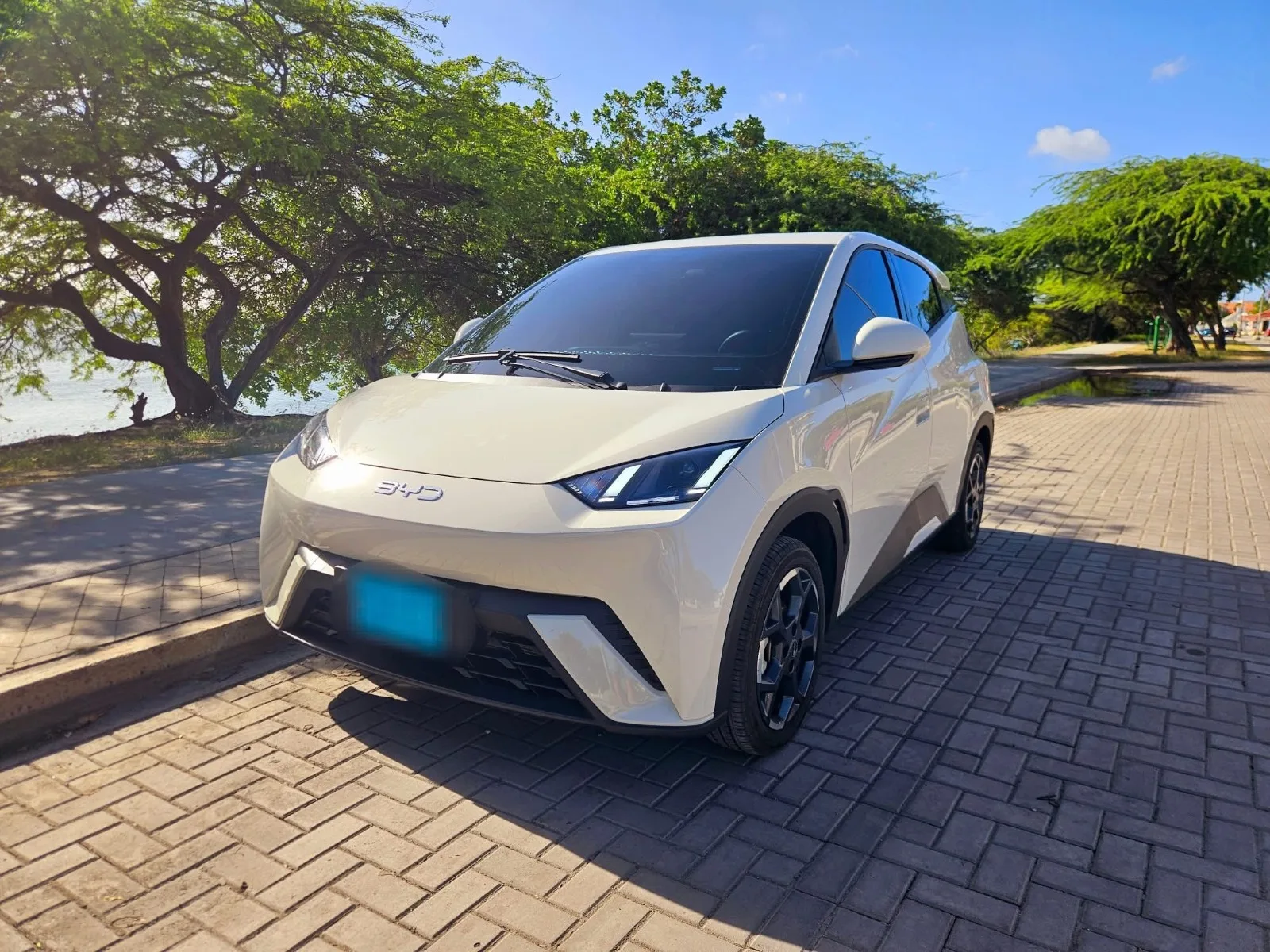 2025 BYD Seagull