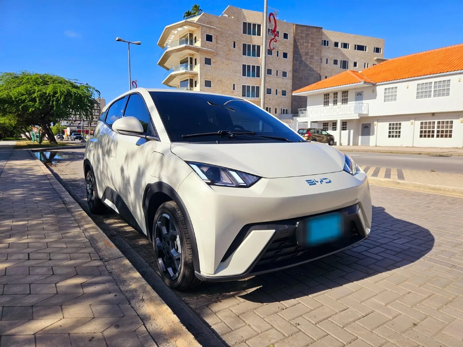 2025 BYD Seagull image 2