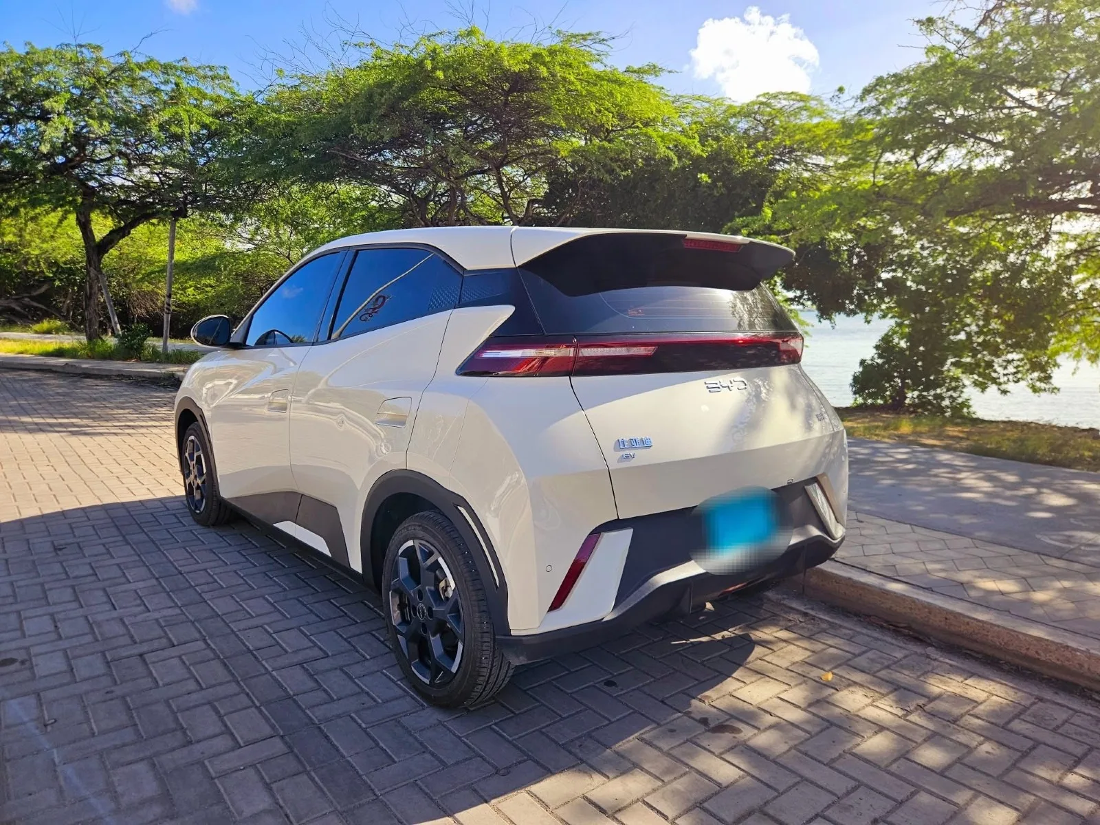 2025 BYD Seagull image 4