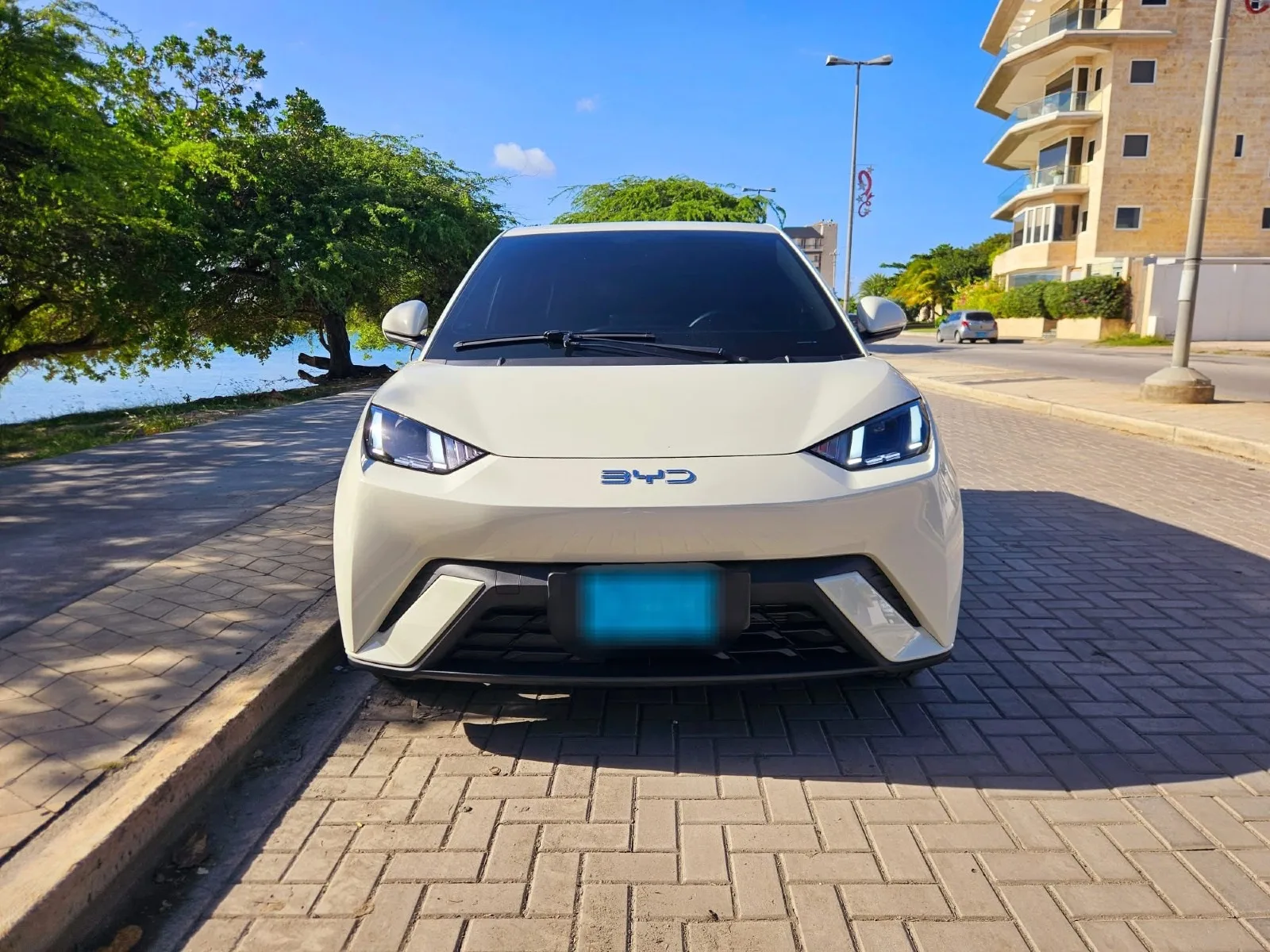 2025 BYD Seagull image 5