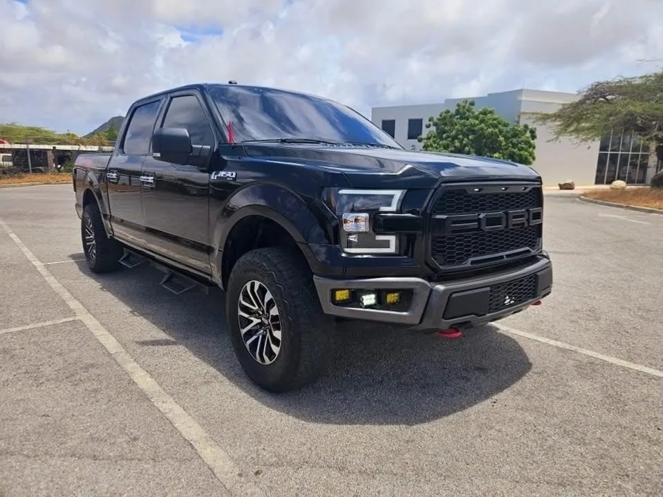 2017 Ford F-150 image 2