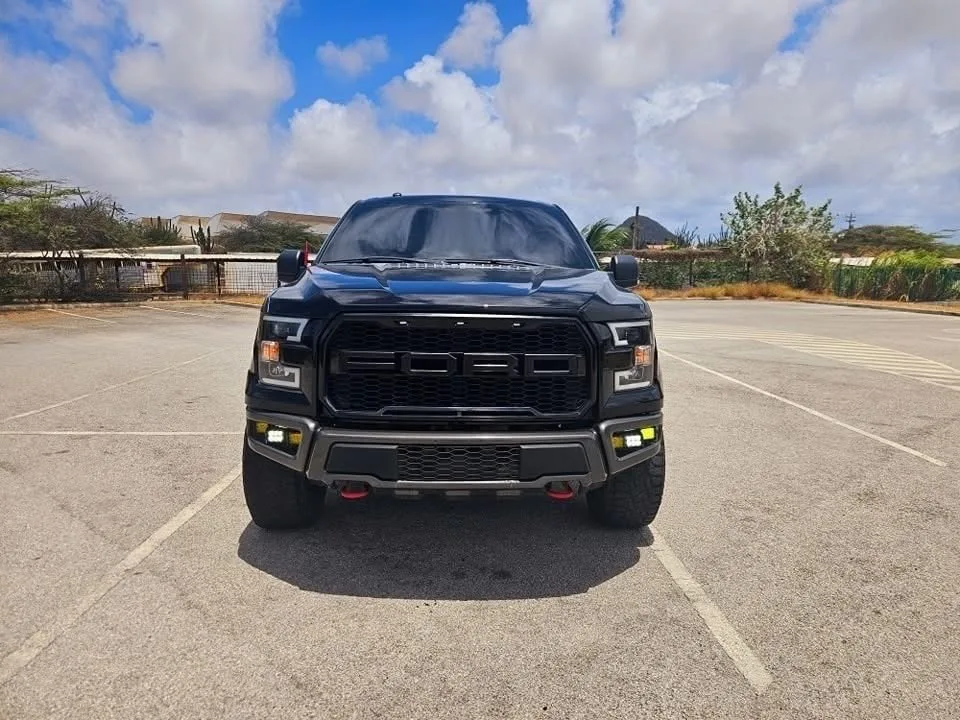 2017 Ford F-150 image 6