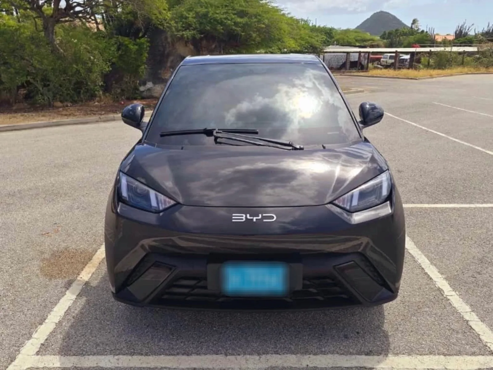 2024 BYD Seagull image 5