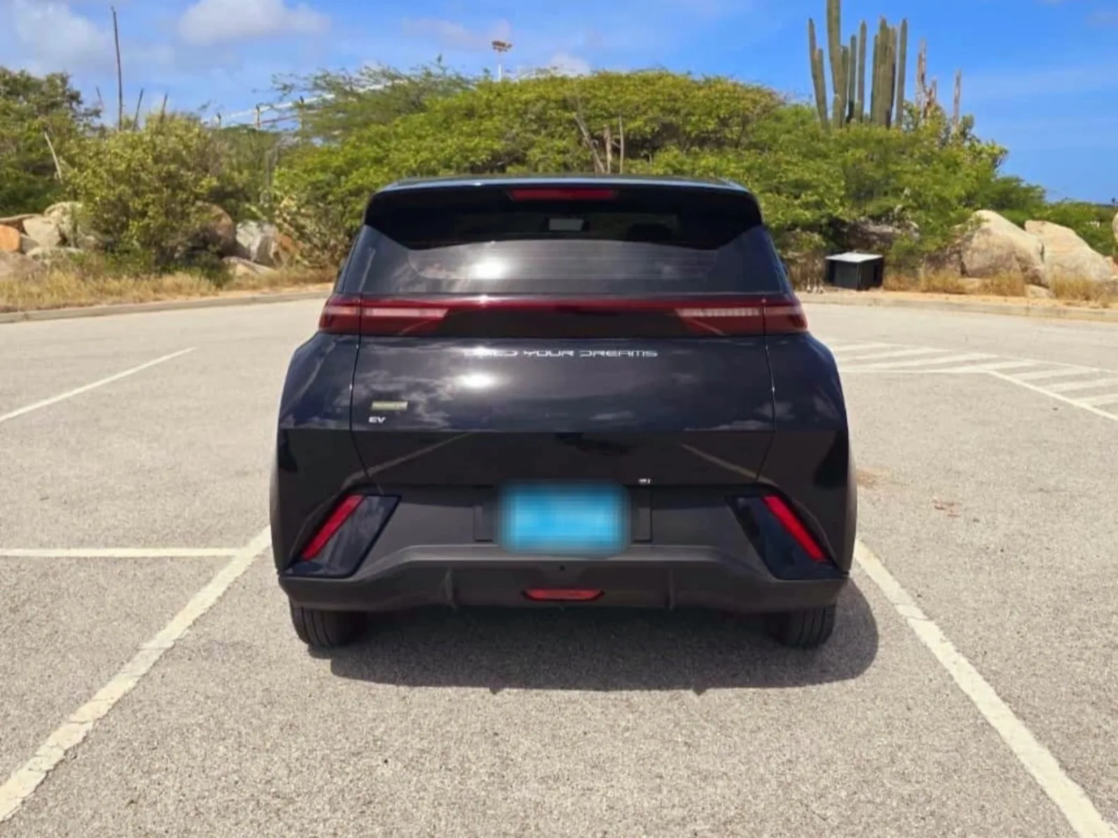 2024 BYD Seagull image 6